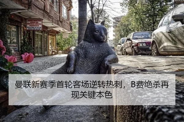 man-lian-xin-sai-ji-shou-lun-ke-chang-ni-zhuan-re-ci-fei-jue-sha-zai-xian-guan-jian-ben-se-2-736.jpg